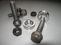 Locator Bolts